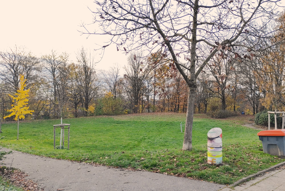 Grillwiese am Robinsonspielplatz