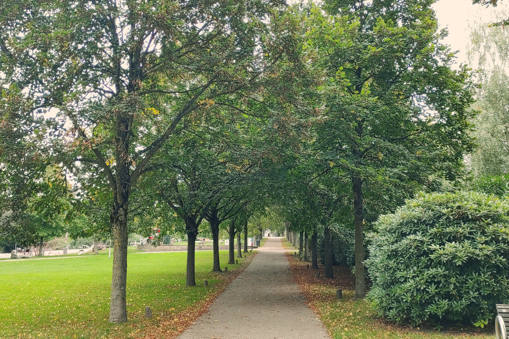 Spielachse "Tulpenweg"