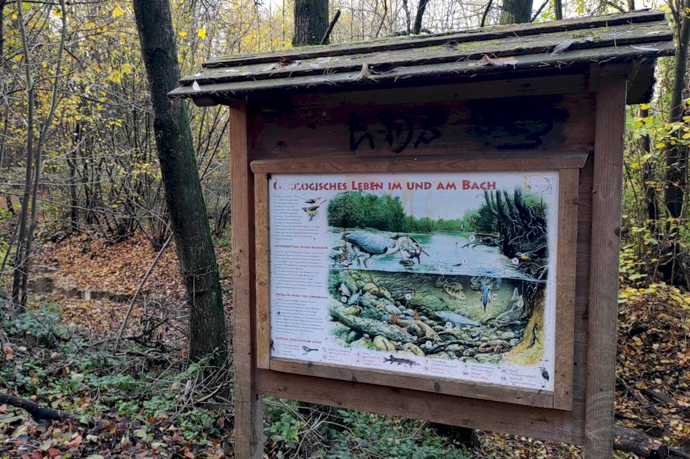 Naturlehrpfad "Rinderbachtal"