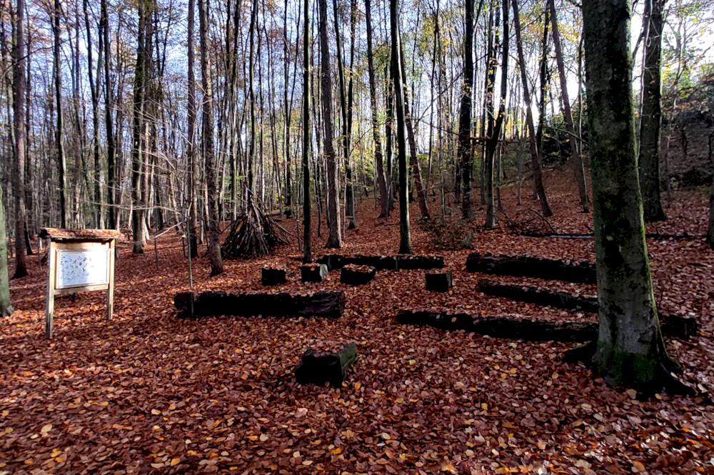 Naturlehrpfad "Rinderbachtal"