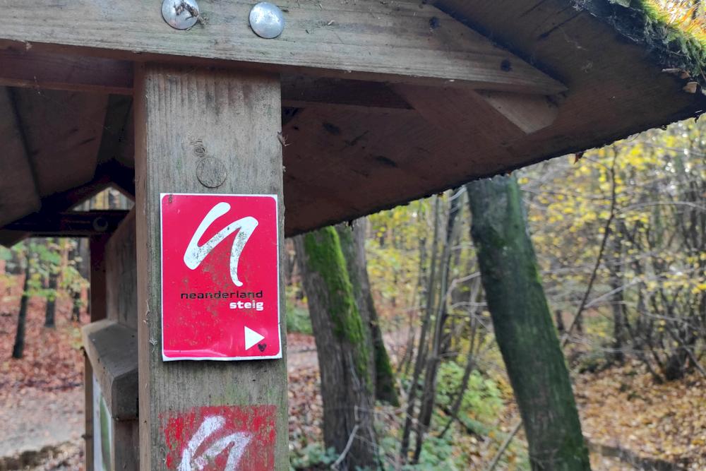 Naturlehrpfad "Rinderbachtal" und Neandersteig