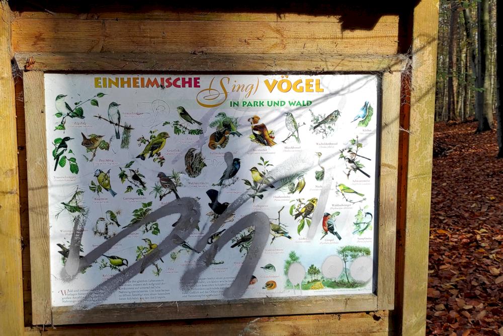 Naturlehrpfad "Rinderbachtal"