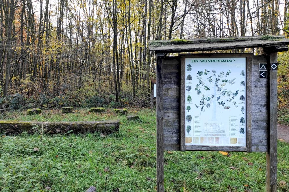 Naturlehrpfad "Rinderbachtal"