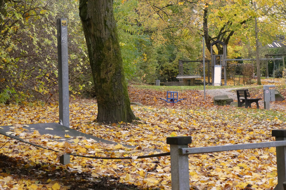 Spielachse "Asternweg"